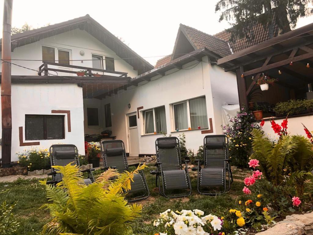 Podul De Brazi - Fir Bridge Villa Cartisoara Exterior photo