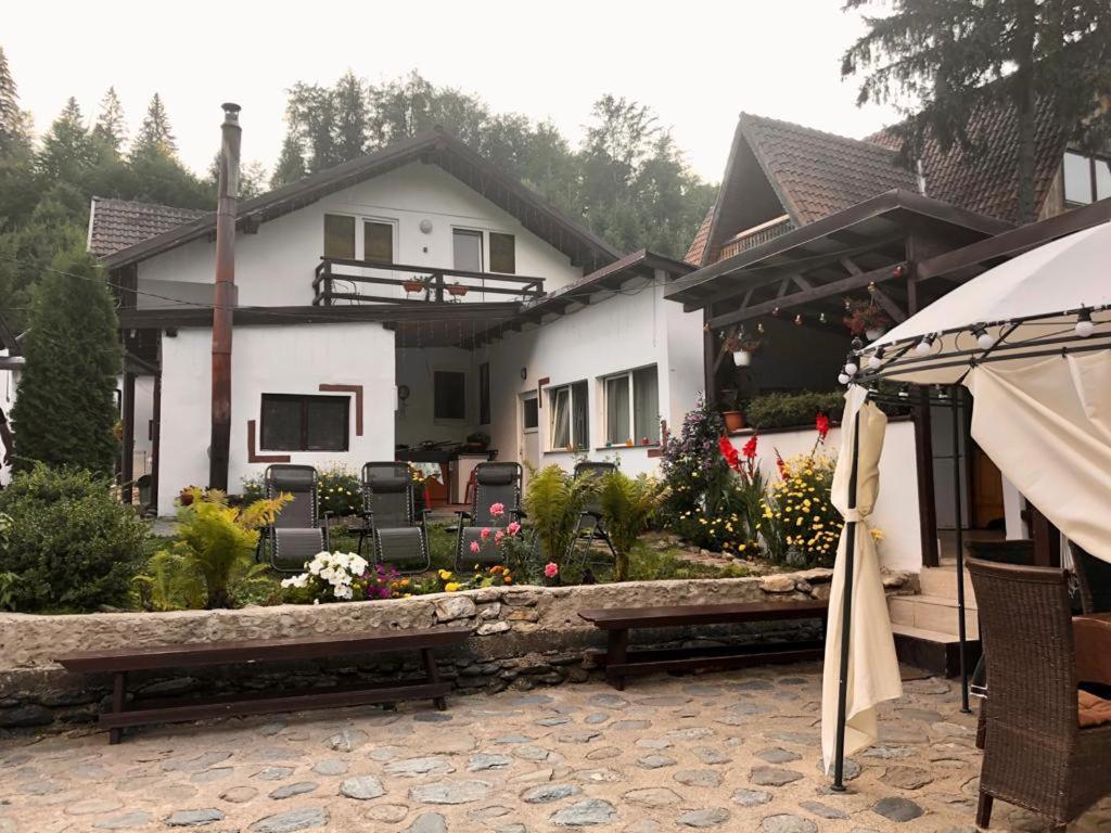 Podul De Brazi - Fir Bridge Villa Cartisoara Exterior photo