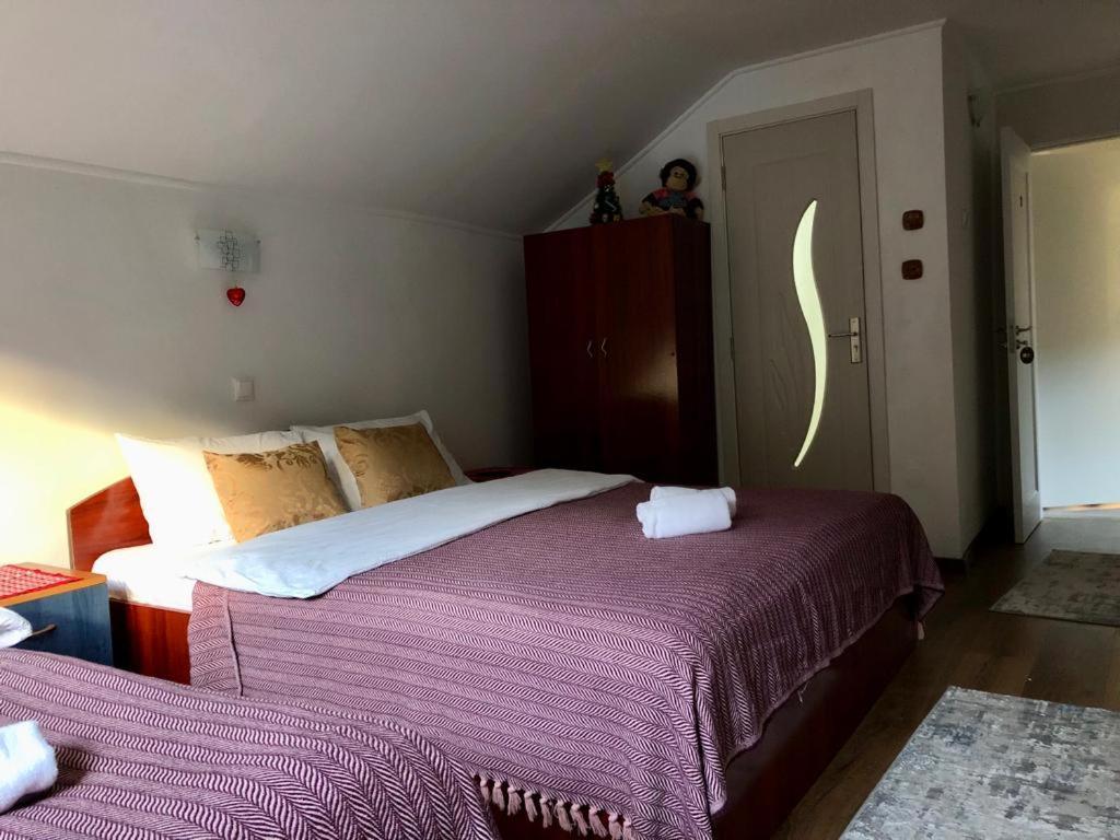 Podul De Brazi - Fir Bridge Villa Cartisoara Room photo