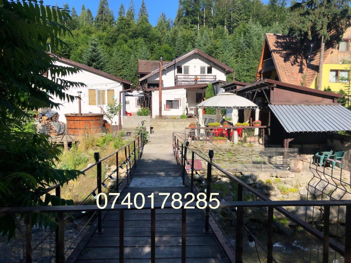 Podul De Brazi - Fir Bridge Villa Cartisoara Exterior photo