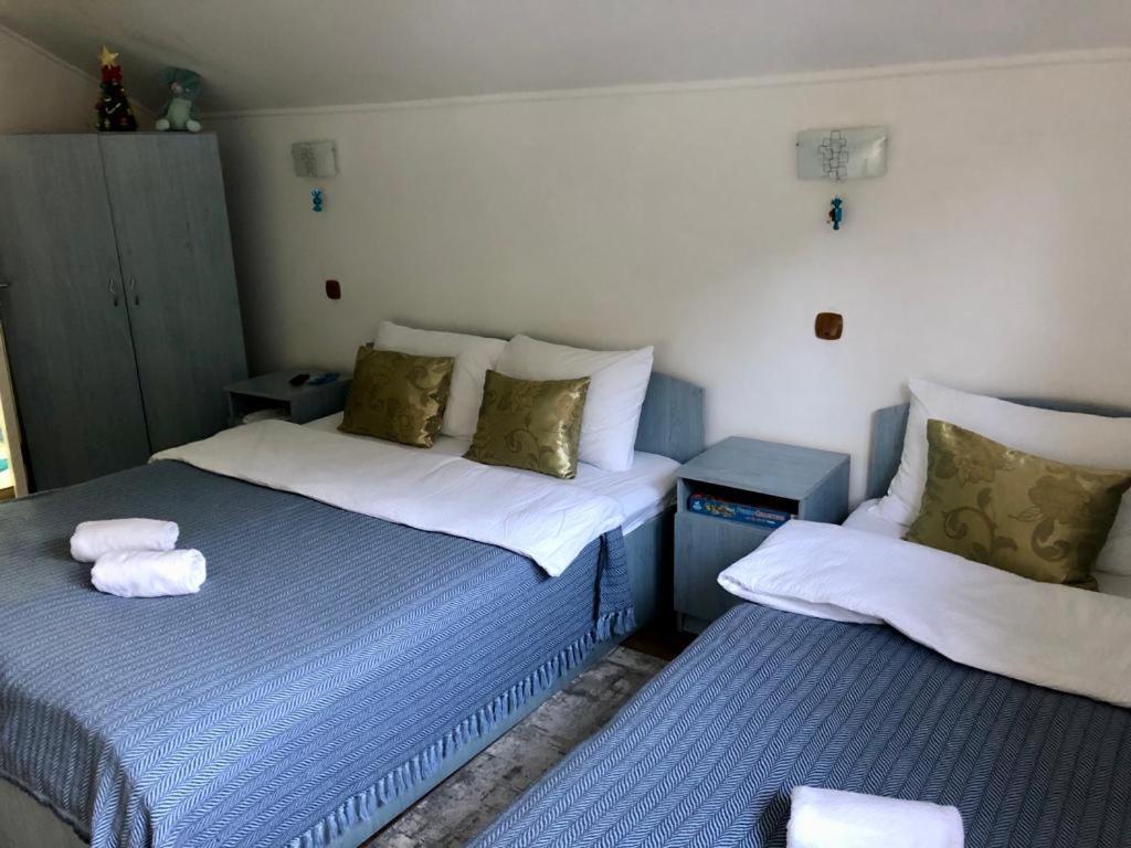 Podul De Brazi - Fir Bridge Villa Cartisoara Room photo