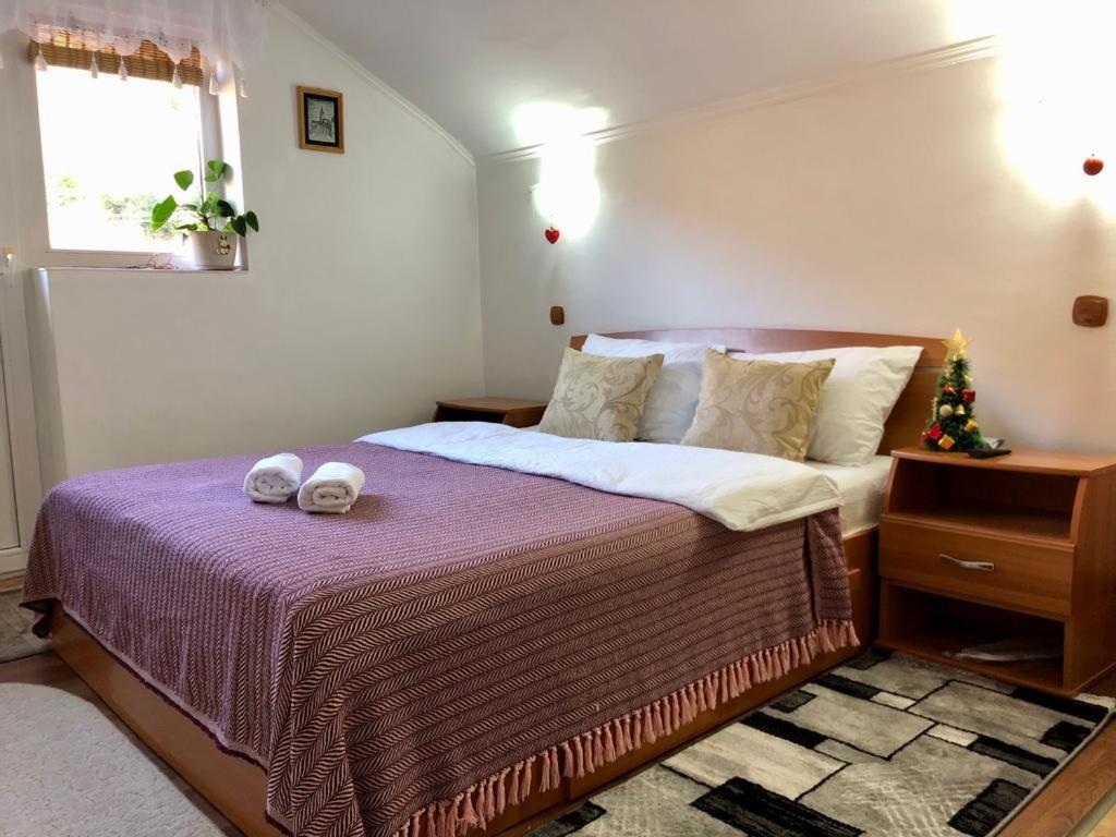 Podul De Brazi - Fir Bridge Villa Cartisoara Room photo